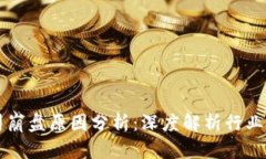 区块链公司崩盘原因分析：深度解析行业风险与